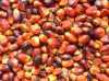 Rafinované a surový: Palmový olej, slunečnicový olej, sójový olej

Nabízíme Rafinovaný jedlých olejích, jako jsou slunečnice, Sojový, Palm, kukuřice a řepky / řepkového oleje pro výrobu bionafty za dobrou cenu.

Níže jsou rafinované jedlé oleje máme skladem

slunečnicový olej
řepkový olej
palmový olej

Režim přepravy: Via moře-port
Dodací lhůta: 3 - 4 týdny / 21 až 28 den