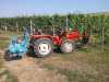 Prodej Viničního traktoru Antonio Carraro tigre country 3700 - 30 PS,provoz 2004, 950 Mth., super stav,př. hydraulika, přední závaží,šířka 130 cm, 