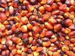Rafinované a surový: Palmový olej, 